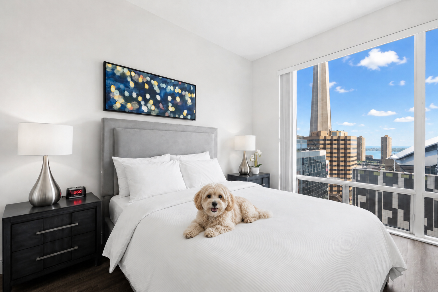Pet friendly apartment